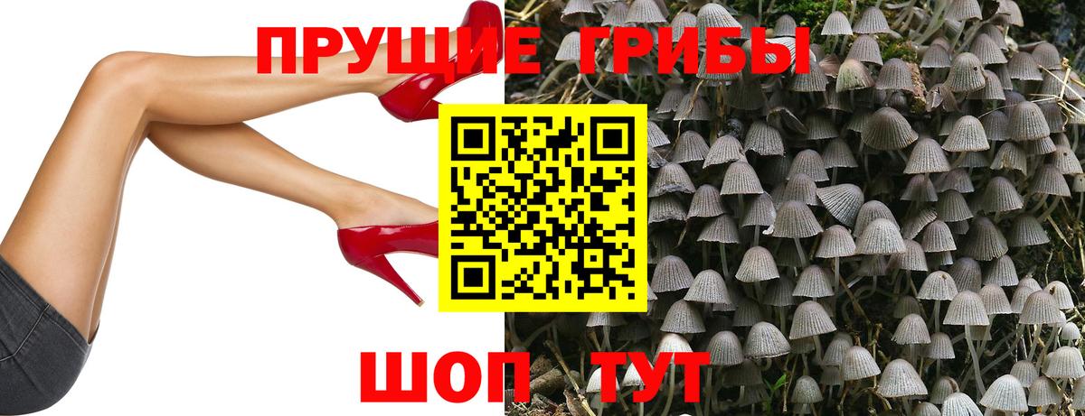 Сергиев Посад  Псилоцибиновые грибы мухоморы  Галлюциногенные грибы Psilocybine cubensis  Вход с VPN 
